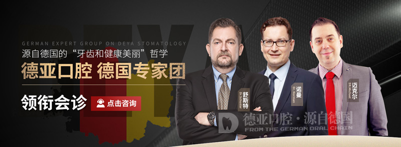 德国专家团队.jpg